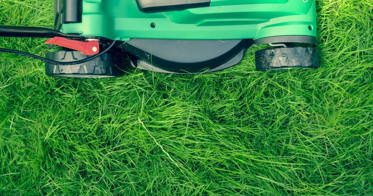 This gadget that allows you to mow your garden automatically is one of the most requested by internet users.